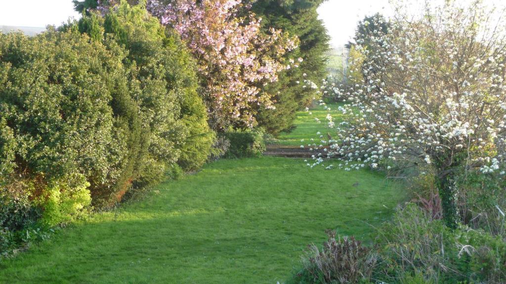 The Station Guest House Galmpton ภายนอก รูปภาพ