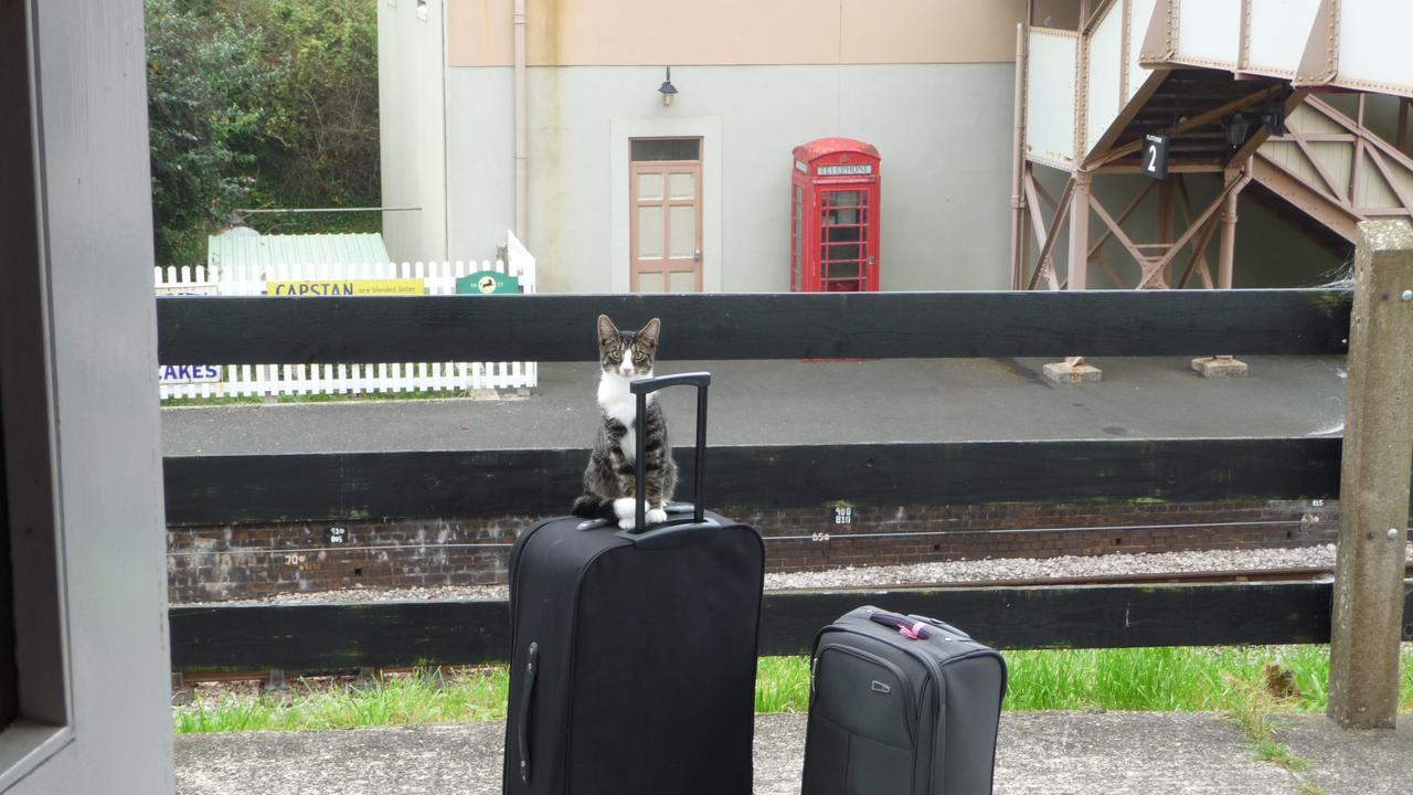 The Station Guest House Galmpton ภายนอก รูปภาพ